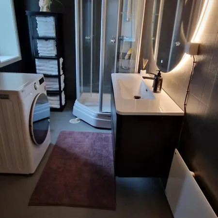 Thewhales Appartement Andenes